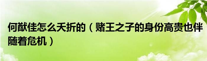 何猷佳怎么夭折的（赌王之子的身份高贵也伴随着危机）