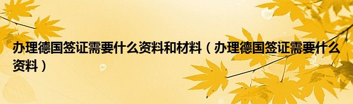 办理德国签证需要什么资料和材料（办理德国签证需要什么资料）