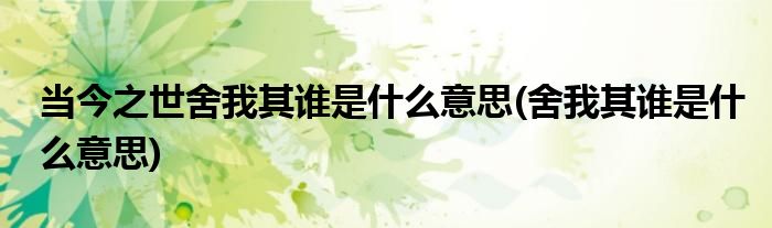 当今之世舍我其谁是什么意思(舍我其谁是什么意思)