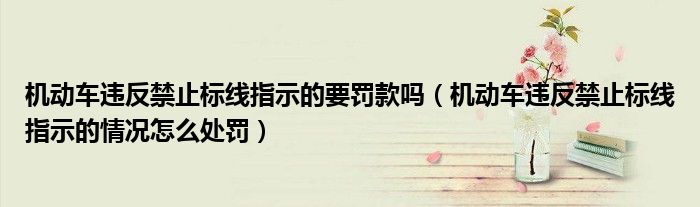 机动车违反禁止标线指示的要罚款吗（机动车违反禁止标线指示的情况怎么处罚）