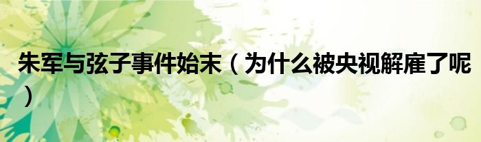 朱军与弦子事件始末（为什么被央视解雇了呢）