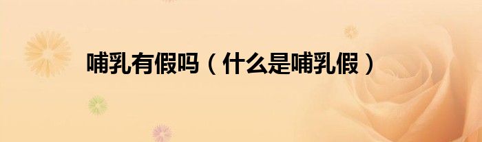 哺乳有假吗（什么是哺乳假）