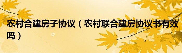 农村合建房子协议（农村联合建房协议书有效吗）