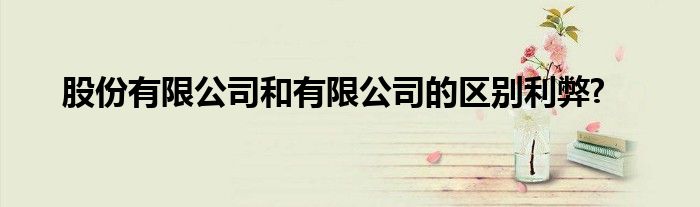 股份有限公司和有限公司的区别利弊?