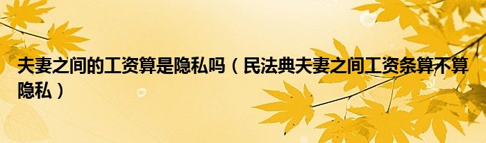夫妻之间的工资算是隐私吗（民法典夫妻之间工资条算不算隐私）