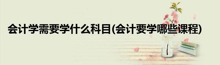 会计学需要学什么科目(会计要学哪些课程)