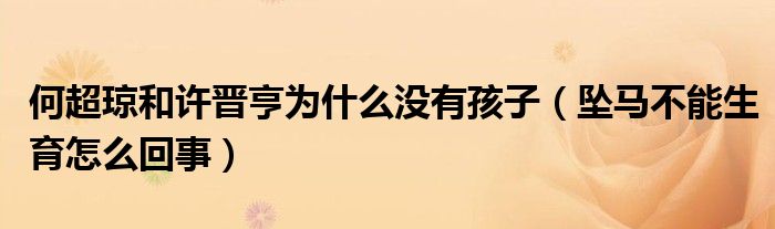 何超琼和许晋亨为什么没有孩子（坠马不能生育怎么回事）