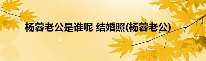 杨蓉老公是谁呢 结婚照(杨蓉老公)