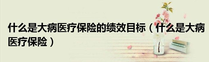 什么是大病医疗保险的绩效目标（什么是大病医疗保险）
