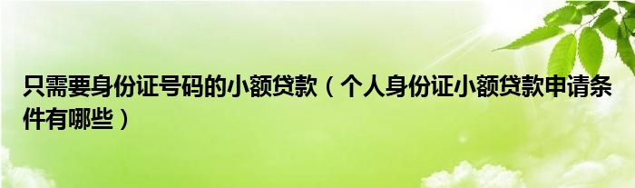 只需要身份证号码的小额贷款（个人身份证小额贷款申请条件有哪些）