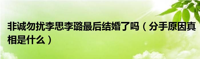 非诚勿扰李思李璐最后结婚了吗（分手原因真相是什么）