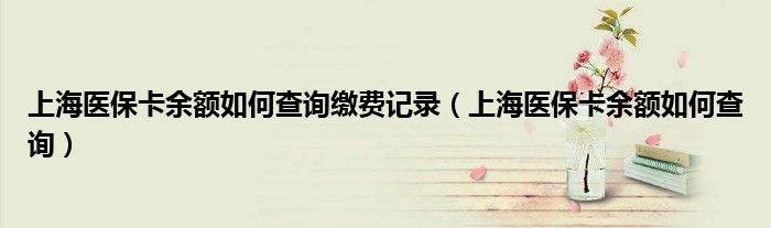 上海医保卡余额如何查询缴费记录（上海医保卡余额如何查询）