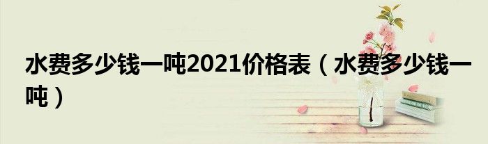 水费多少钱一吨2021价格表（水费多少钱一吨）