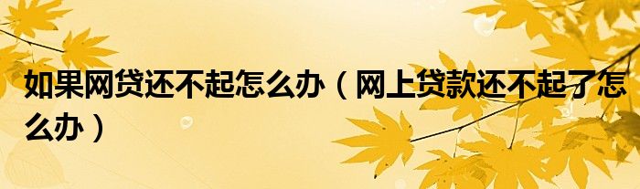 如果网贷还不起怎么办（网上贷款还不起了怎么办）