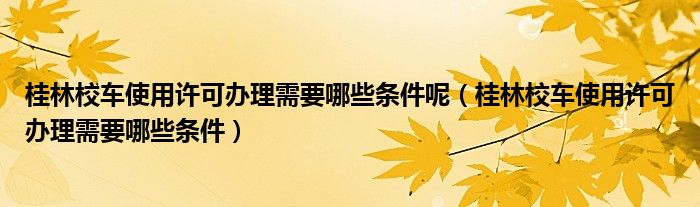 桂林校车使用许可办理需要哪些条件呢（桂林校车使用许可办理需要哪些条件）