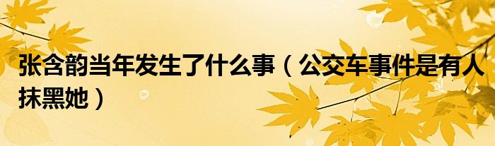 张含韵当年发生了什么事（公交车事件是有人抹黑她）