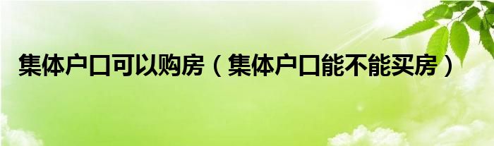 集体户口可以购房（集体户口能不能买房）