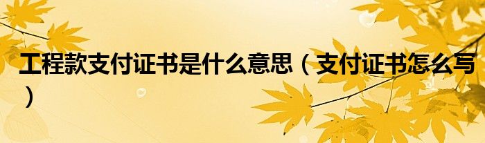 工程款支付证书是什么意思（支付证书怎么写）