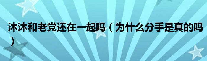 沐沐和老党还在一起吗（为什么分手是真的吗）