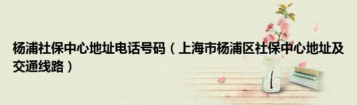杨浦社保中心地址电话号码（上海市杨浦区社保中心地址及交通线路）