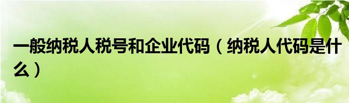 一般纳税人税号和企业代码（纳税人代码是什么）