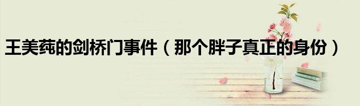 王美莼的剑桥门事件（那个胖子真正的身份）