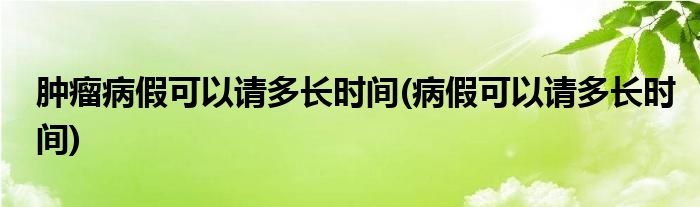 肿瘤病假可以请多长时间(病假可以请多长时间)