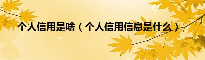 个人信用是啥（个人信用信息是什么）