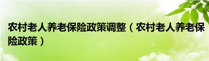 农村老人养老保险政策调整（农村老人养老保险政策）