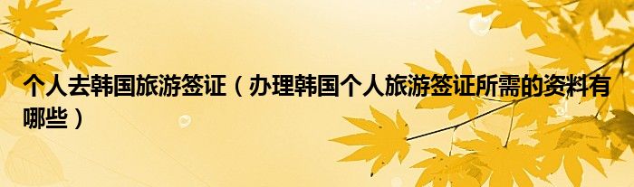 个人去韩国旅游签证（办理韩国个人旅游签证所需的资料有哪些）