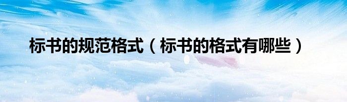 标书的规范格式（标书的格式有哪些）