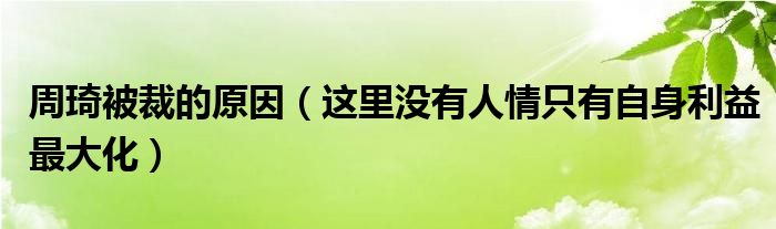 周琦被裁的原因（这里没有人情只有自身利益最大化）