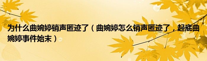 为什么曲婉婷销声匿迹了（曲婉婷怎么销声匿迹了，起底曲婉婷事件始末）