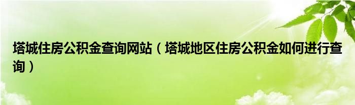 塔城住房公积金查询网站（塔城地区住房公积金如何进行查询）