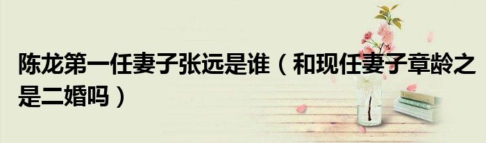 陈龙第一任妻子张远是谁（和现任妻子章龄之是二婚吗）