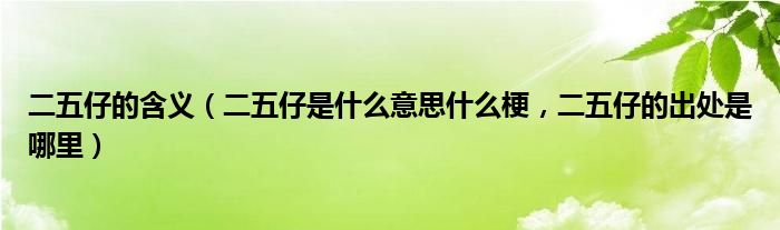 二五仔的含义（二五仔是什么意思什么梗，二五仔的出处是哪里）