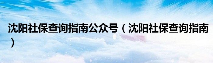 沈阳社保查询指南公众号（沈阳社保查询指南）