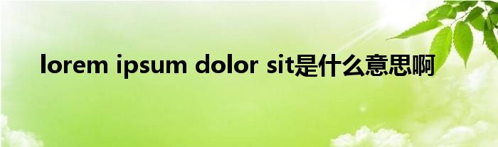 lorem ipsum dolor sit是什么意思啊