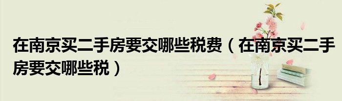 在南京买二手房要交哪些税费（在南京买二手房要交哪些税）