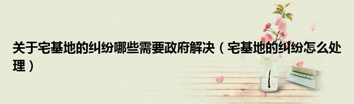 关于宅基地的纠纷哪些需要政府解决（宅基地的纠纷怎么处理）