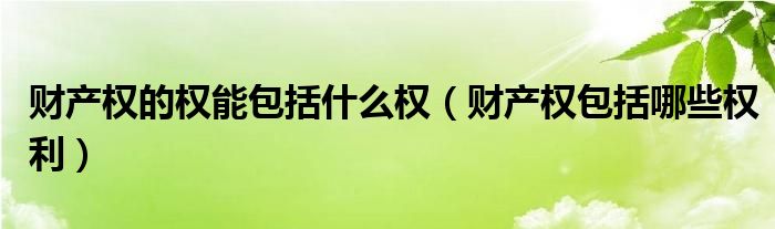 财产权的权能包括什么权（财产权包括哪些权利）