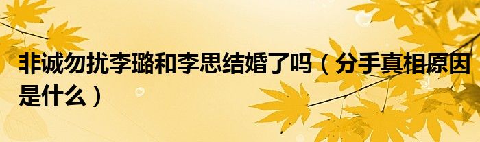 非诚勿扰李璐和李思结婚了吗（分手真相原因是什么）