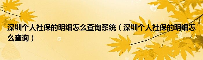 深圳个人社保的明细怎么查询系统（深圳个人社保的明细怎么查询）