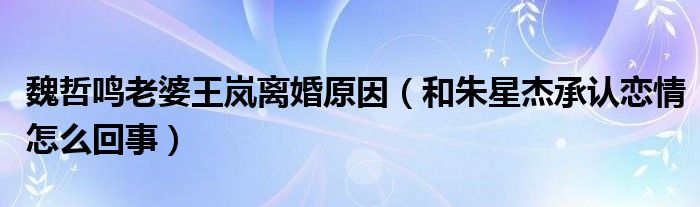 魏哲鸣老婆王岚离婚原因（和朱星杰承认恋情怎么回事）