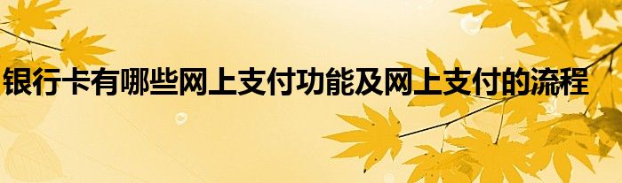 银行卡有哪些网上支付功能及网上支付的流程