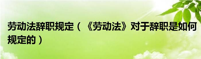 劳动法辞职规定（《劳动法》对于辞职是如何规定的）