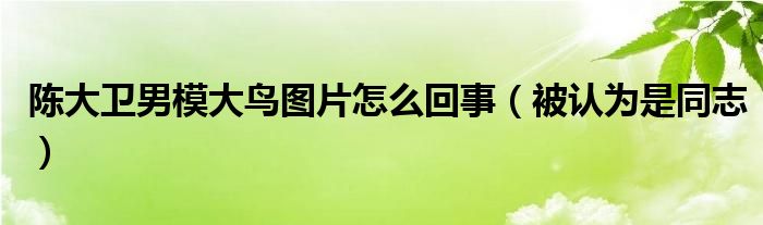 陈大卫男模大鸟图片怎么回事（被认为是同志）