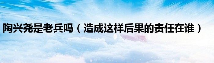 陶兴尧是老兵吗（造成这样后果的责任在谁）