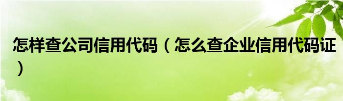 怎样查公司信用代码（怎么查企业信用代码证）