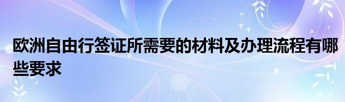 欧洲自由行签证所需要的材料及办理流程有哪些要求